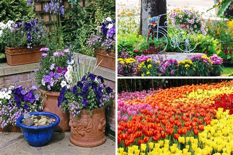 24 Different Types Of Gardens For Your Yard And Home 2022