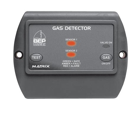 Gas Detector With Control