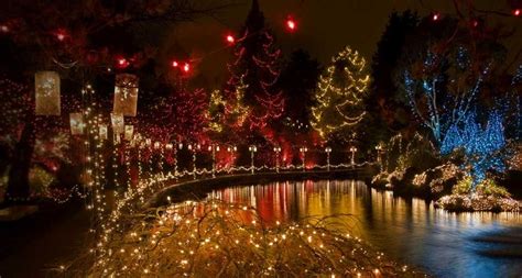 Was gibt es schöneres, als weiße weihnachten und überall erstrahlen häuser, gärten und städte im lichterglanz. Weihnachtsbeleuchtung im Botanischen Garten VanDusen ...