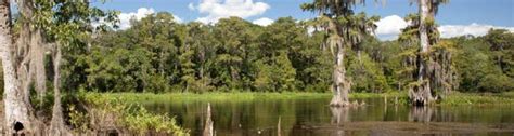 Florida Panhandle Forest And Drinking Water Workshop Ufifas