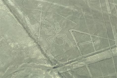 Nazca Lines Complete Visitors Guide Peru For Less