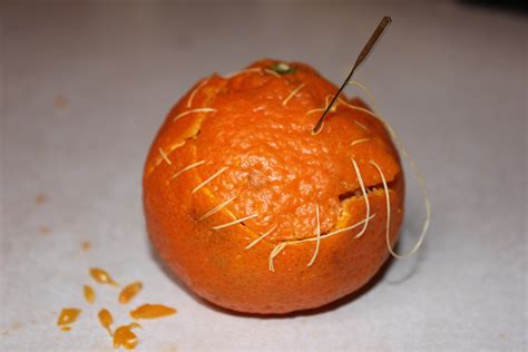 Orange Autopsy