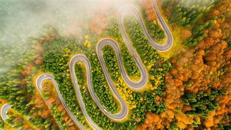 1080p Winding Road Forest Photography Fog Autumn Winding Foggy