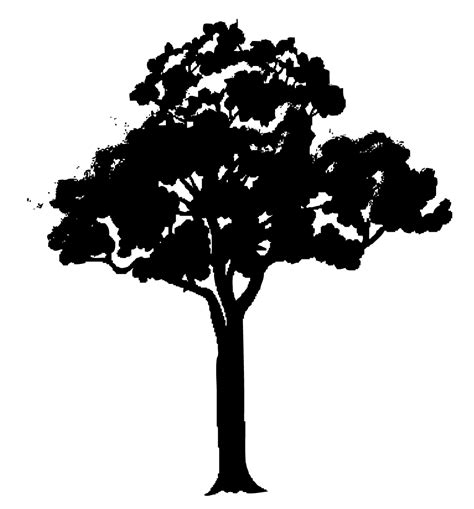 African Tree Vector Clip Art