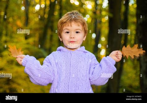 Happy Child Plaing With Autumn Leaves In Park Smiling Cute Kid Boy In
