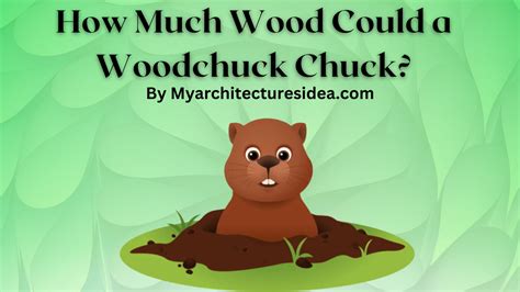 How Much Wood Could A Woodchuck Chuck Know Everything