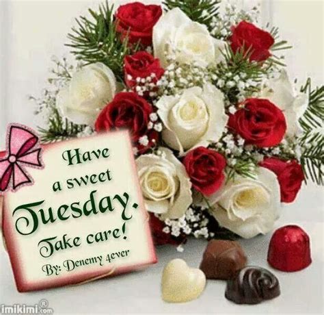 Have A Sweet Tuesday Tuesday Greetings Christmas Wreaths Good