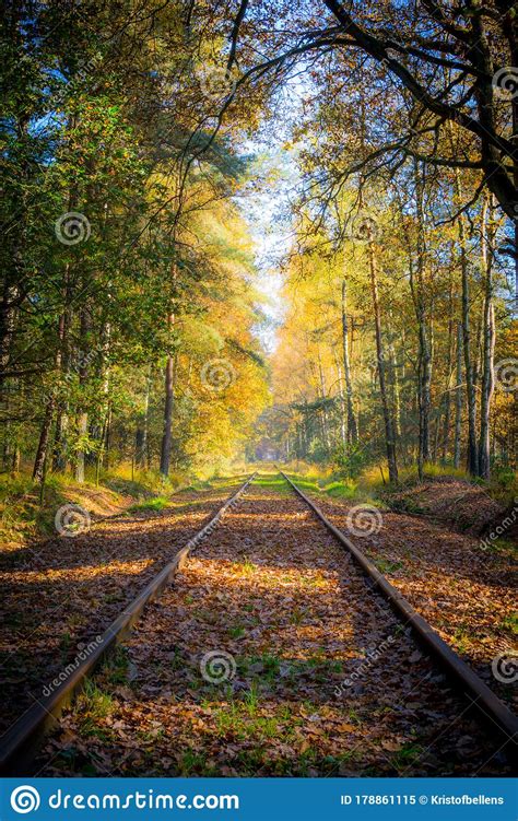 Empty Railroad Track Through The Forest In Autumn Fall On A Sunny Day