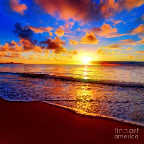 Beautiful Tropical Sunset On The Beach Photograph By Idiz