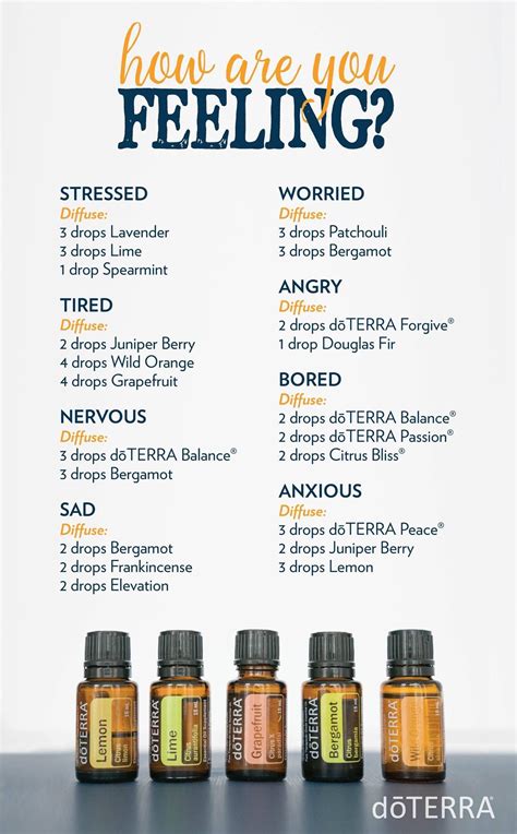 Essential Oil Blend Recipes For Anxiety Recipe Loving
