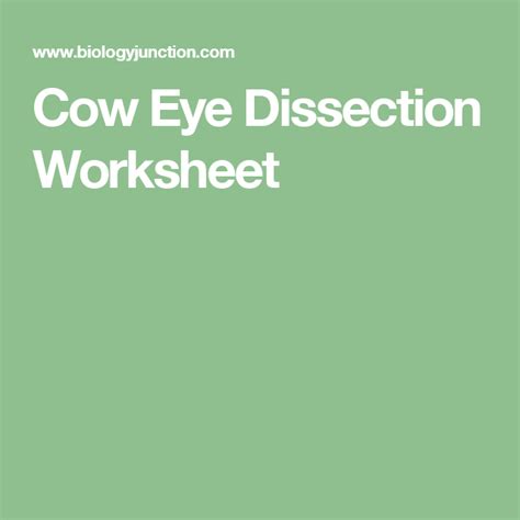 Cow Eye Dissection Worksheet Cow Eyes Dissection Biology