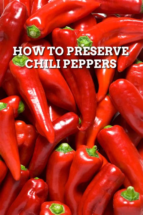 How To Preserve Chili Peppers Chili Pepper Madness