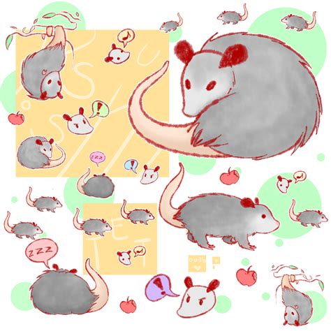 A Ton Of Possums By Wow A Dog On Deviantart Cute Drawings Possum