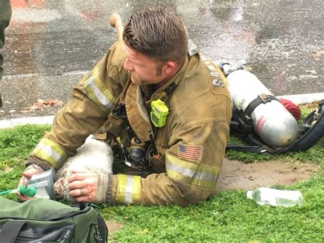 Firefighters Rescue Animals From Burning Pet Shop Sm Mirror