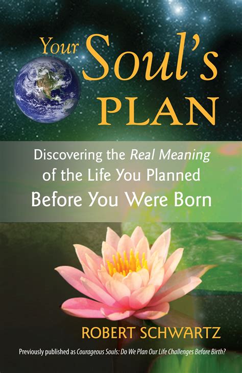 Your Souls Plan By Robert Schwartz Penguin Books Australia