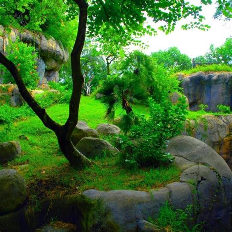 And if you love this anime extension, check out. 10 Best Hd Wallpapers 1080P Nature 3D FULL HD 1080p For PC ...