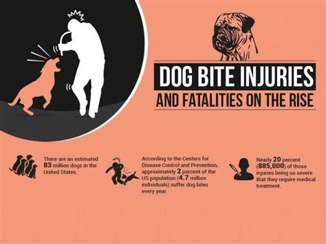 Ppt Dog Bite Injuries And Fatalities On The Rise Powerpoint