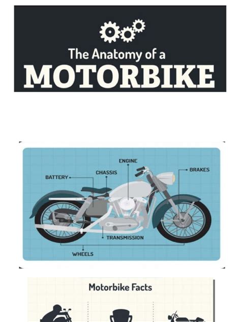 Anatomy Of The Motorbike Pdf