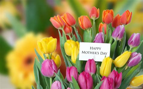 All orders placed after this time will be delivered monday the 10th of may.* *subject to change at any time. 25 Best Mothers Day Flowers Ideas