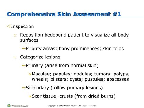 Ppt Chapter 11— Skin Hair And Nails Assessment Powerpoint Presentation Id 9070235