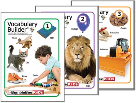 Vocabulary Builder 3 Volume Dvd Set Bumblebee Kids