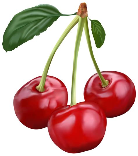 Cherry Clipart Png Free Logo Image
