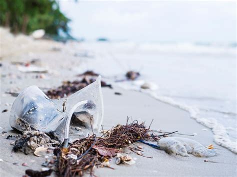 Indonesia Salah Satu Penyumbang Sampah Plastik Terbesar Ke Laut