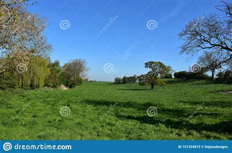 Large Grass Field In The English Countryside In The Spring Stock Image