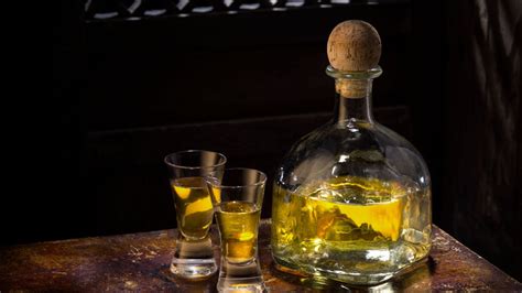 9 Best Tequila For Shots Ranked In 2023 Mybartender