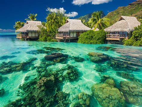South Pacific Yacht Charters - French Polynesia - Tahiti | CALYPSO