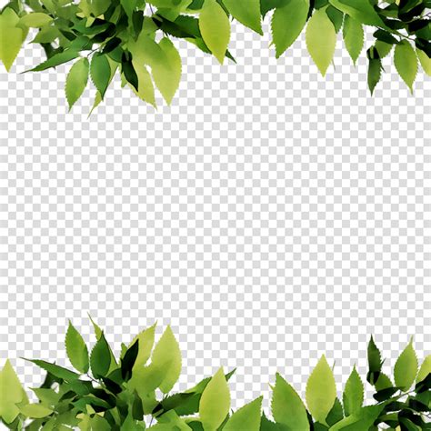 Spring Green Leaf Border Png Vector Psd And Clipart W