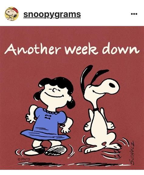 Pin By Marianne Lopapa On Snoopy 20 And The Peanuts Gang 20 Snoopy
