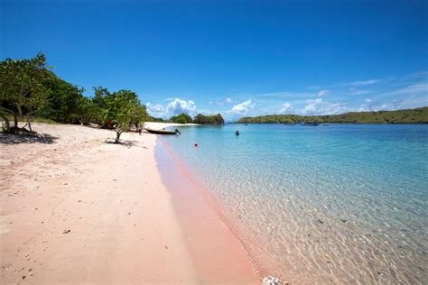 12 Beautiful Pink Sand Beaches Around The World Travel Us News