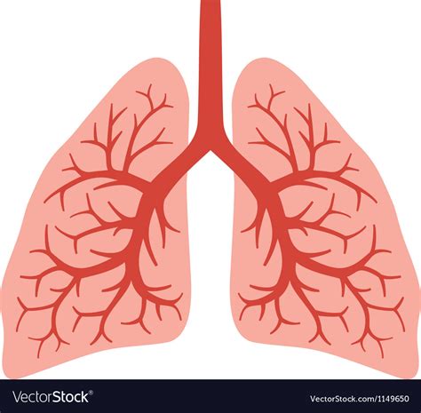 Lungs Svg Vector Lungs Clip Art Svg Clipart My XXX Hot Girl