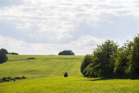 Countryside At High Noon Rural Scenery With Trees And Fields On The