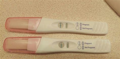 Fake Pregnant Test Hromqr