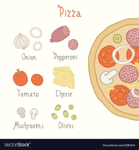 Regular Pizza Ingredients Royalty Free Vector Image