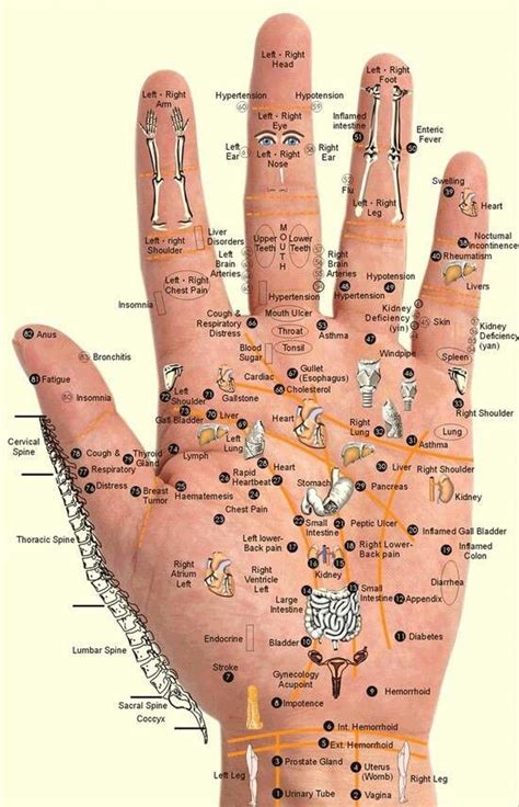 Accupressure Points Reflexology Hand Reflexology