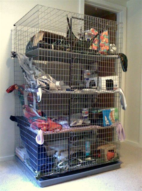 Sweet multi-level rat cage! | Rat cage, Pet rat cages, Pet rats