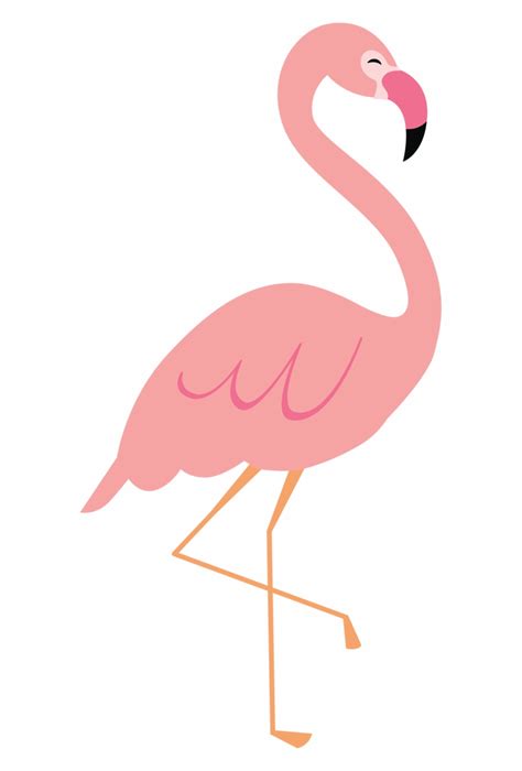 Flamingo Clipart Png 10 Free Cliparts Download Images On