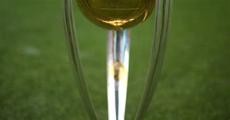 Icc Cricket World Cup Trophy At Bradman Museum Southern Highland News
