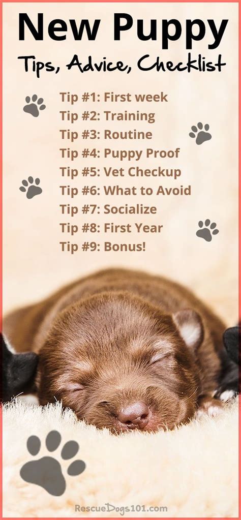 First Time Dog Owners Guide Checklist Tips Artofit