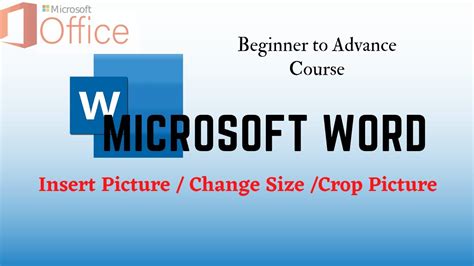 Insert Picture Crop Picture Change Pic Size In Ms Word Beginner To