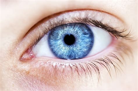 All Blue Eyed People Share One Common Ancestor