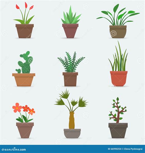 House Plants And Flowers In Pots Stock Vector Illustration Of