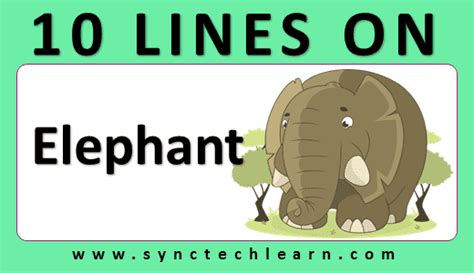 Information about elephant in the audioenglish.org dictionary, synonyms and antonyms. 10 lines on Elephant in English - Few lines about Elephant