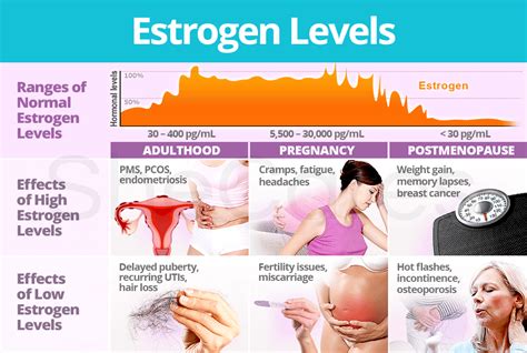 Estrogen is crucial for the reproductive function and cycle of a woman. Estrogen Levels | SheCares