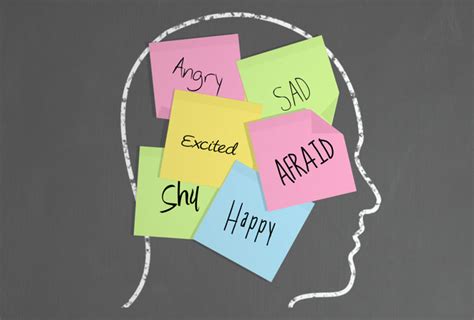 Understanding The Emotional Brain Murray Wright And Associates