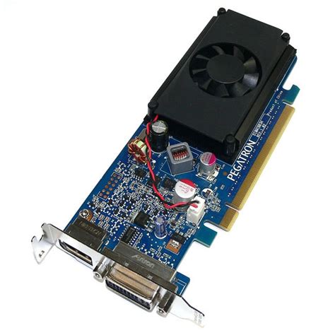 Hp Nvidia Geforce 310 512mb Vg885aa Ddr3 Dvi Dp Pci E Graphics Card Free Shipping Today
