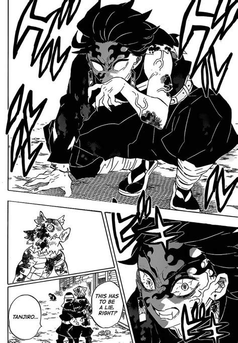 Demon Slayer Tanjiro Manga Panels